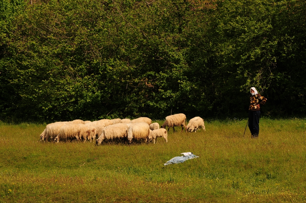 vodic kroz hercegovinu - nevesinje