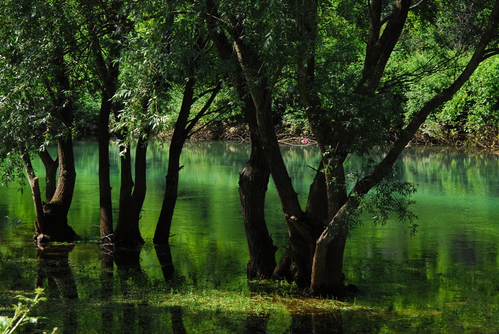 vodic kroz hercegovinu - bregava