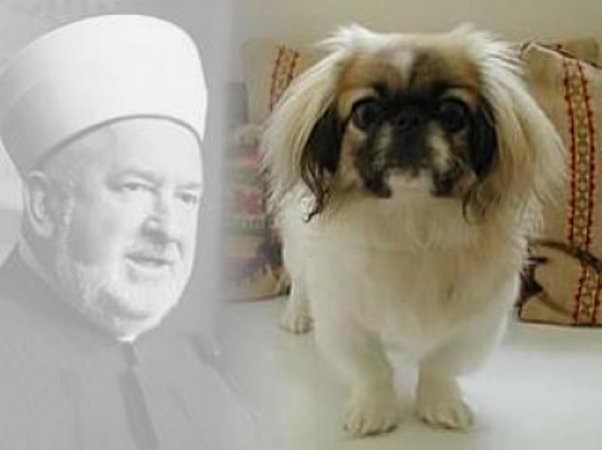 Mustafa Cerić i voljeni pas Dudu