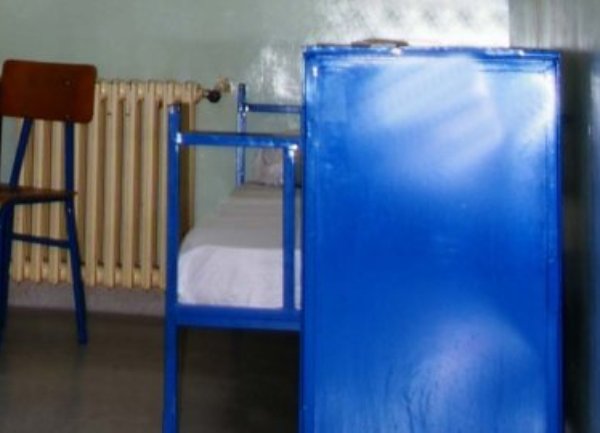 celija ratka mladica3 celija ratka mladica3