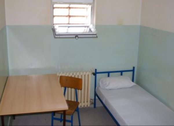 celija ratka mladica1 celija ratka mladica1