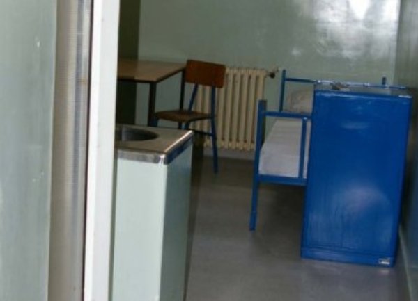 celija ratka mladica4 celija ratka mladica4