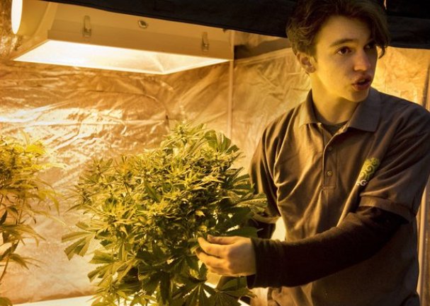 prodavnica We Grow prodavnica We Grow