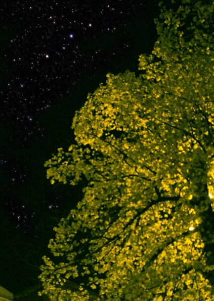 LA&Scaron;KO SUMMER NIGHTS