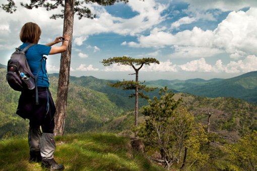 Konjuh, autora Nedžada Gegića