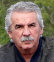 pavle pavlović