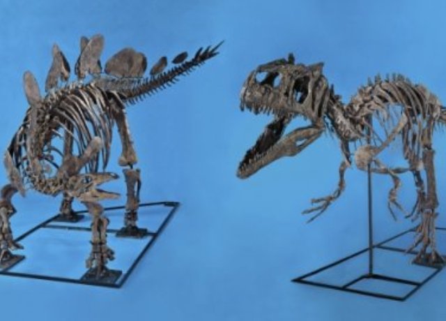 Dinosaurusi, Foto: Reuters