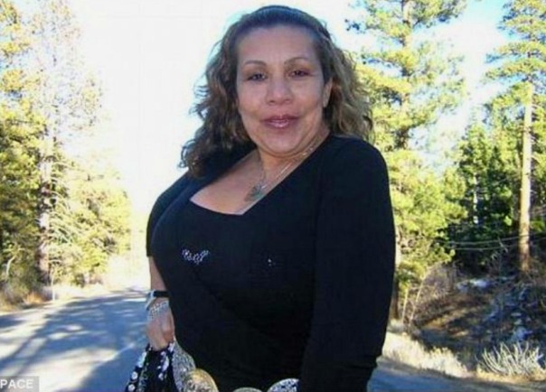 arnold svalerka arnold svalerka