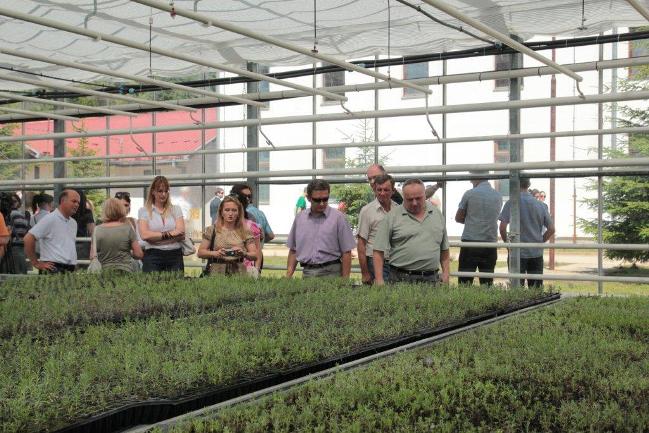 Otvoren staklenik za organsku proizvodnju