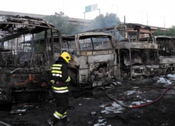 gazela požar (FOTO:M.PERIĆ)