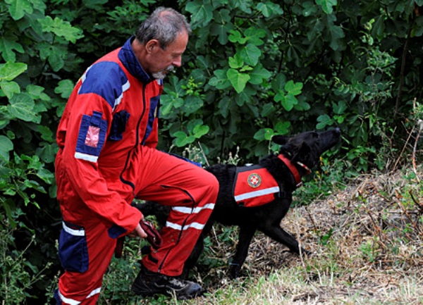 pas tragač - potraga za antonijom bilić/foto: Cropix