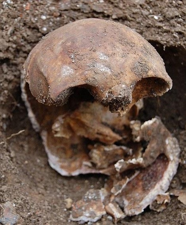 Julija Martha Thomas.