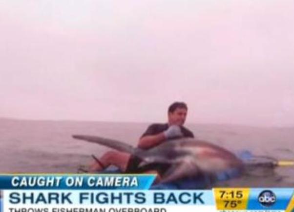 morskog psa uhvatio rukama