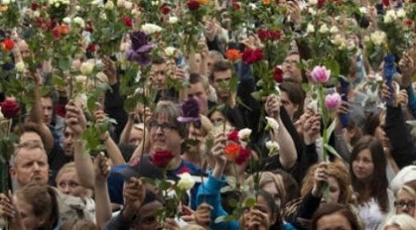 norve&scaron;ka ruže 2