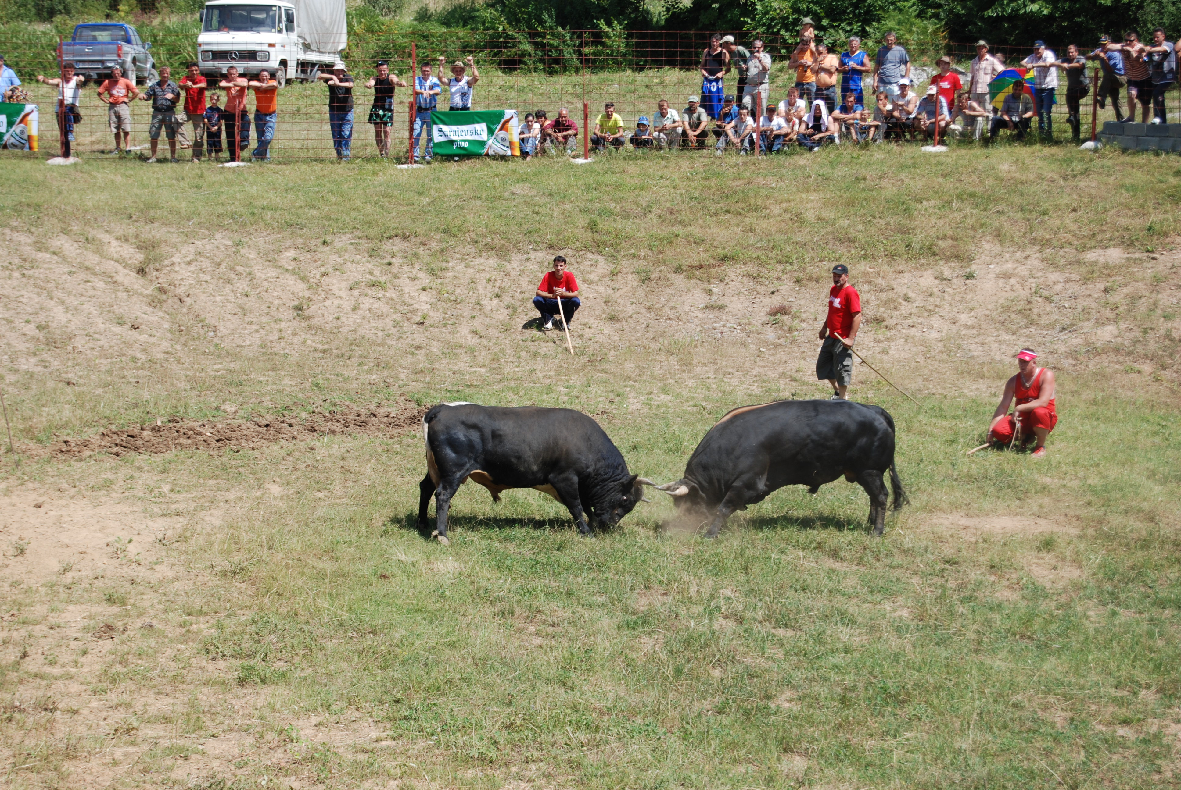 Grmečka korida Grmečka korida