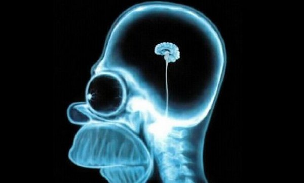 homer simpson homer simpson