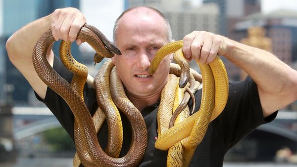 raymond snakehandler raymond snakehandler