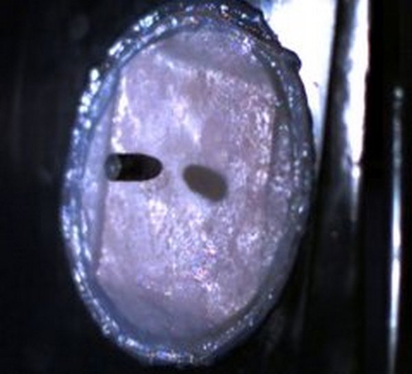 vještačka koža vještačka koža