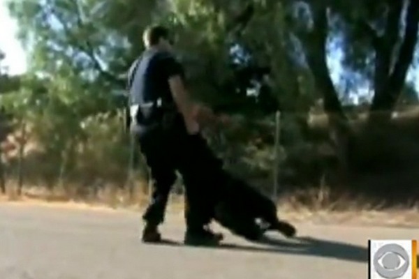 ranjeni policajac ranjeni policajac