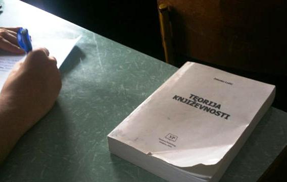 teorija književnosti teorija književnosti