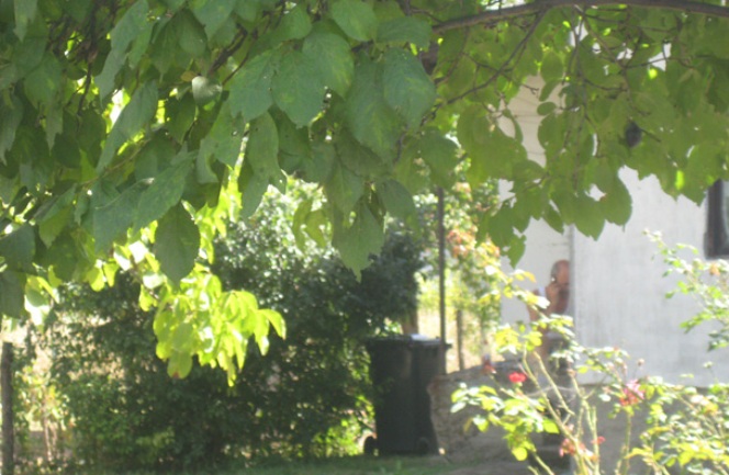 Samir Skelić prča na mobitel