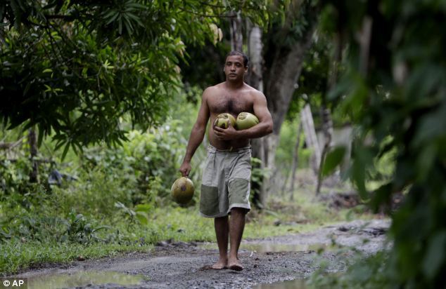 čovjek 24 čovjek 24