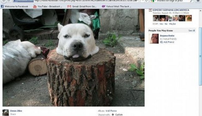 zaklao cuku zaklao cuku