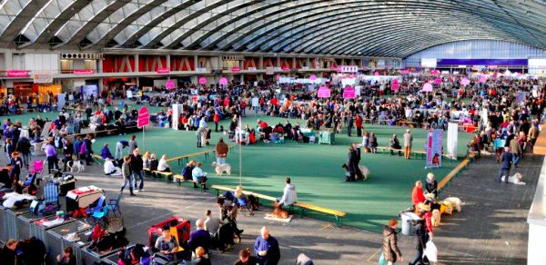 Zasad nije poznato kako je i zašto došlo do trovanja; ilustracija: Winnershow.nl Zasad nije poznato kako je i zašto došlo do trovanja; ilustracija: Winnershow.nl