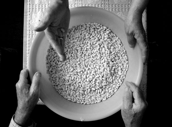 zumiraj prava zumiraj prava