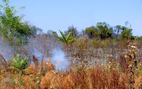 Požar u blizini bijeljinske kasarne izbio je oko 12.00 časova kada se zapalilo okolno rastinje; foto: SRNA