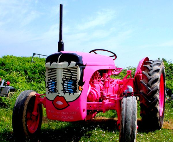 Po&scaron;to su utorak, 13. septembra, propali pregovori s predstavnicima Vlade, proizvođači malina blokirali su danas puteve prema Zlatiboru; ilustracija: Flickr.com