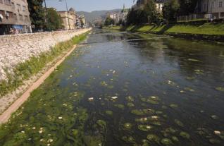 Žabokrečina u Miljackoj