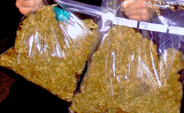 Ilustracija: Strainguide.org