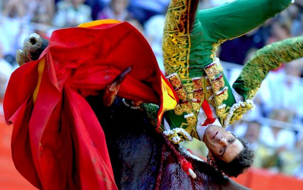  Svake godine sve manje &Scaron;panaca odlazi da gleda borbe; foto: Getty Images 