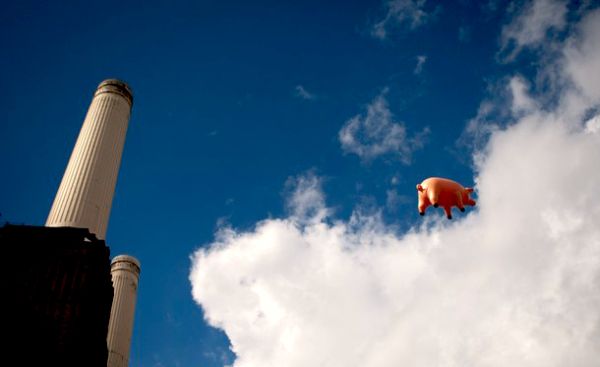 Diskografska kuća EMI kanila je upotrijebiti istu svinju na napuhavanje koja se čuva jo&scaron; od prvoga snimanja, ali prije dve sedmice ocijenjeno je da neće moći poletjeti i napravljena je nova; foto: Demotix