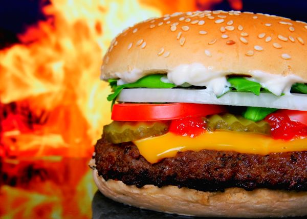 U nedjelji koja je prethodila uvođenju poreza, Danci su uglavnom ispraznili rafove sa proizvodima koji sadrže masnoću; ilustracija: Deviantart.com