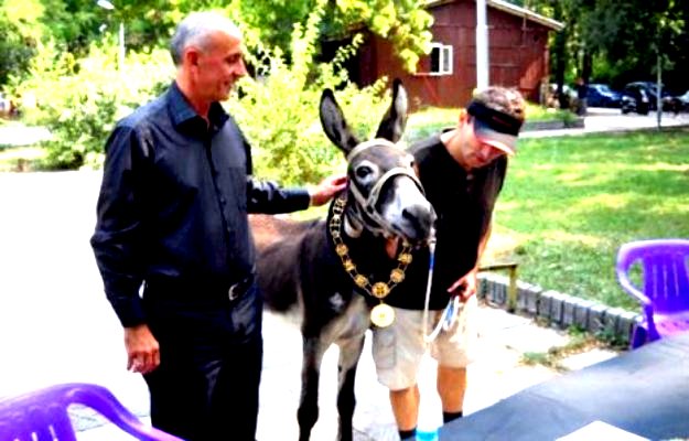 magarac - predsjednik 2