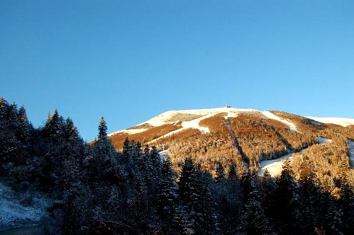 Bjela&scaron;nica snijeg; foto