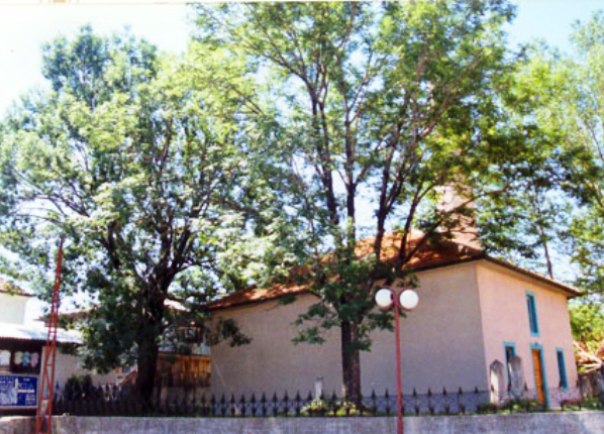 curcinica2 curcinica2