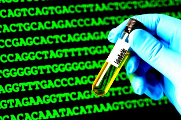 Direktni potomci te bubonske kuge postoje i danas, ubijajući godi&scaron;nje oko 2.000 ljudi; ilustracija: Flickr.com