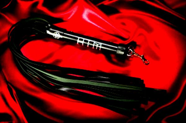 Frankfurter Allgemeine Zeitung pi&scaron;e da o približavanju Srbije EU 