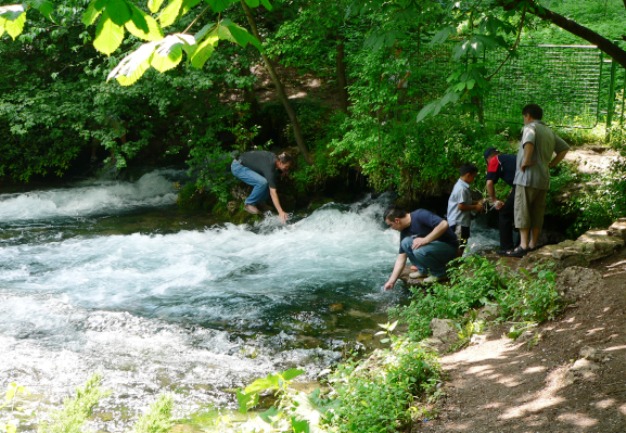 vrelo bosne