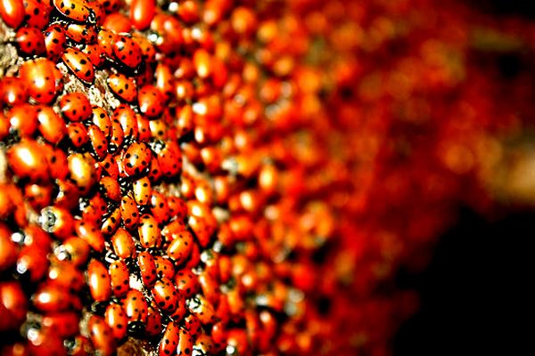 Slična situacija u ovim zgradama bila je prije posljednjeg zahlađenja prije nekoliko dana; ilustracija: Redbubble.com Slična situacija u ovim zgradama bila je prije posljednjeg zahlađenja prije nekoliko dana; ilustracija: Redbubble.com