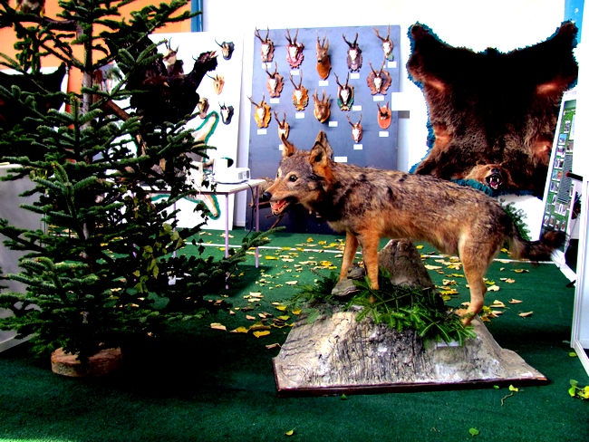 15. Međunarodni sajam lova, ribolova, ekologije i sporta