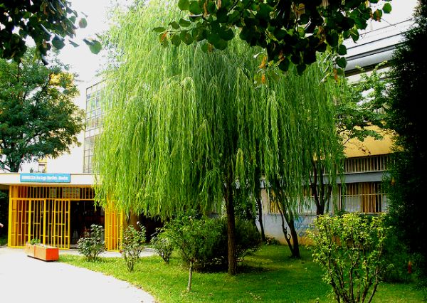 Gimnazija fra Grge Martića Mostar; foto: Flickr.com