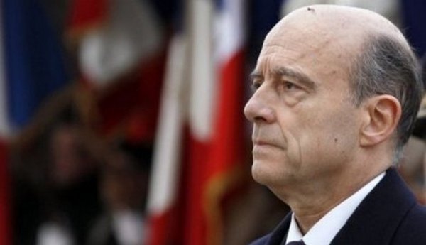 alen žipe alen žipe