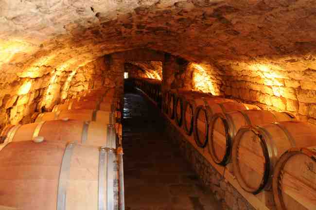 Podrumi Manastira Tvrdoš su jedina firma u kojima Crkva ima poslovne interese, a koja posluje bez gubitaka. Podrumi Manastira Tvrdoš su jedina firma u kojima Crkva ima poslovne interese, a koja posluje bez gubitaka.