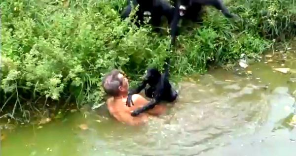 Joao Leite dos Santos; screenshot: YouTube