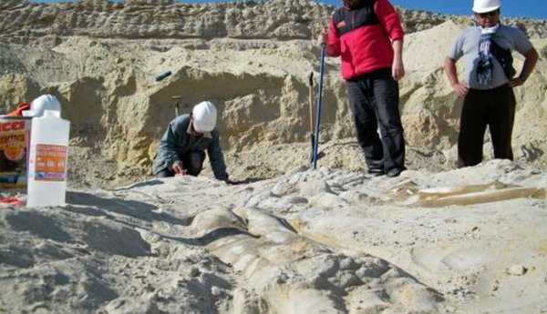 groblje kitova groblje kitova