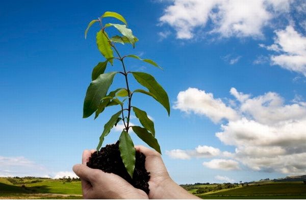 Makedonska vlada srijedu je proglasila neradnim danom kako bi odaziv stanovni&scaron;tva bio &scaron;to veći; foto: Flick.com
